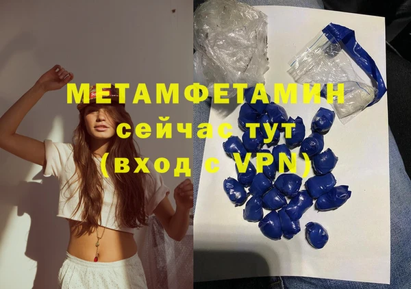 прущие грибы Карталы