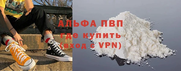 прущие грибы Карталы