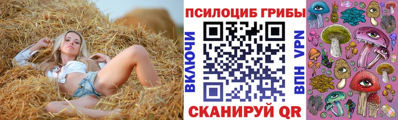 Псилоцибиновые грибы Magic Shrooms  Купить  Беслан 